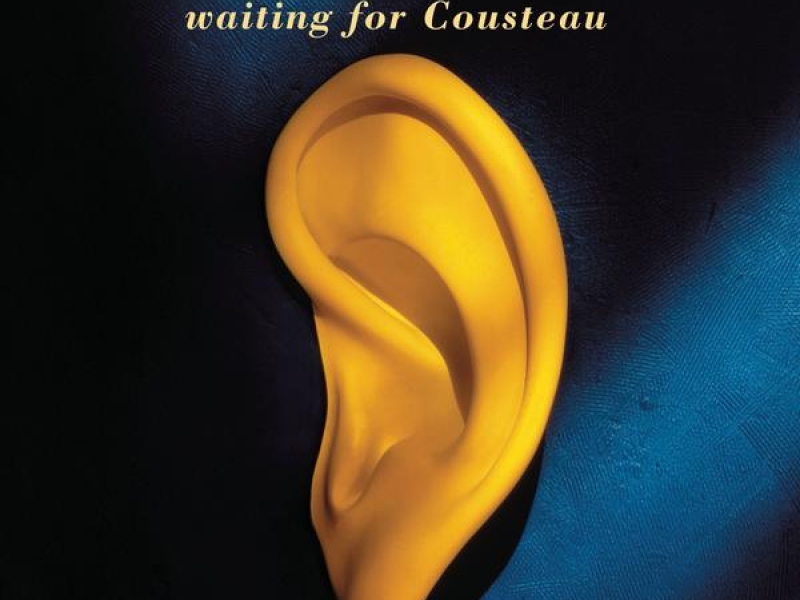 Waiting for Cousteau