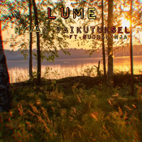 Hyvän vaikutuksel (Single)