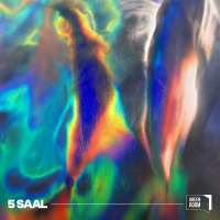 5 saal (Single)