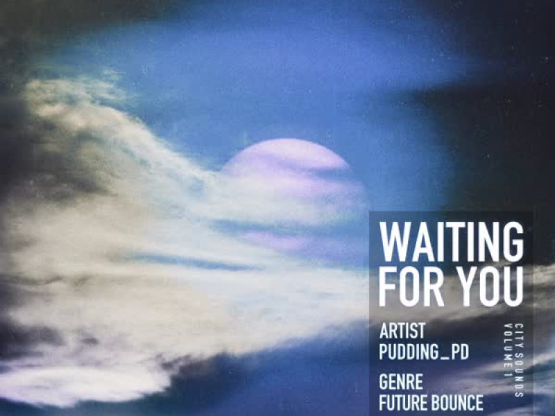 Waiting For You (Single)