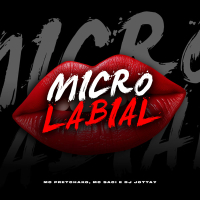 Micro Labial (Single)
