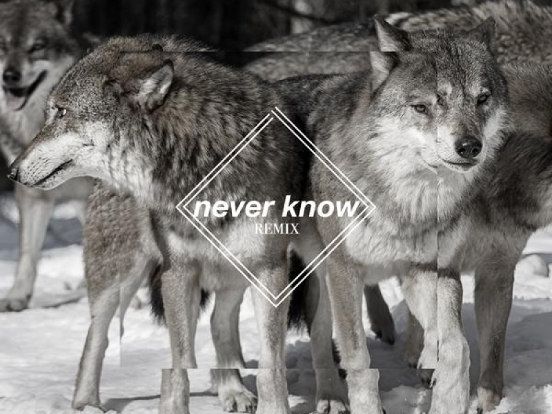 Never Know (Few Wolves VIP remix) (Single)