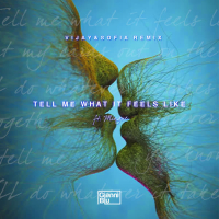Tell Me What It Feels Like (Vijay & Sofia Remix) (Single)