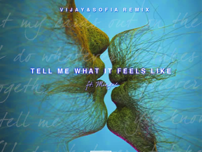 Tell Me What It Feels Like (Vijay & Sofia Remix) (Single)