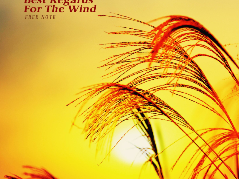 Best Regards For The Wind (Single)