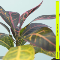 Sun Keeps Rising Up (EP) (Single)