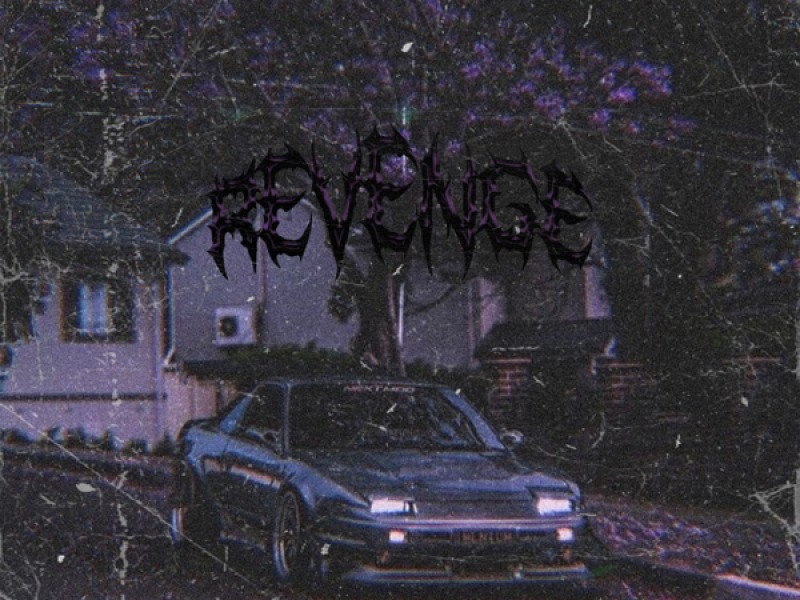 REVENGE (Single)