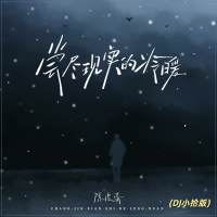 尝尽现实的冷暖 (Dj小拾版) (Single)