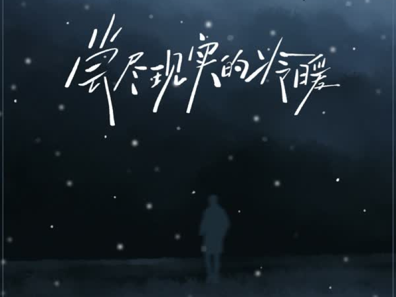 尝尽现实的冷暖 (Dj小拾版) (Single)