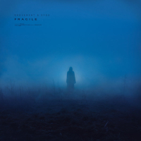 fragile (Single)