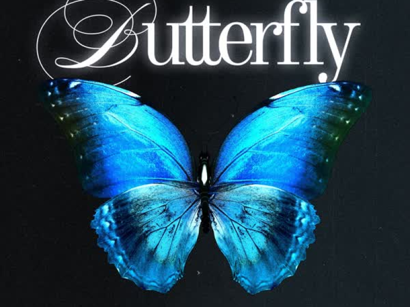 Butterfly (Single)