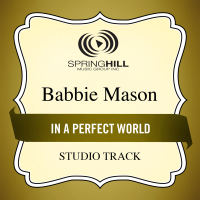 In A Perfect World (Single)