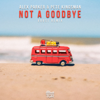Not a Goodbye (Voost Remix) (Single)