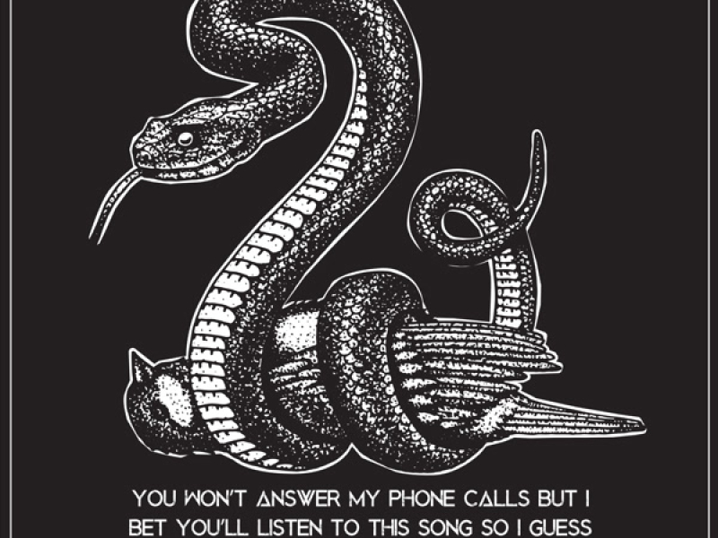 You Won't Answer My Phone Calls but I Bet You'll Listen to This Song so I Guess This Is the Only Way to Talk to You (Single)