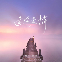 适合爱情 (Single)