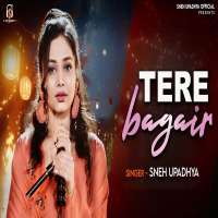 Tere Bagair (Single)