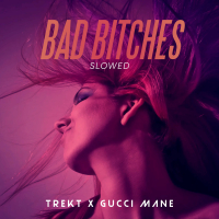 Bad Bitches (Slowed) (Single)