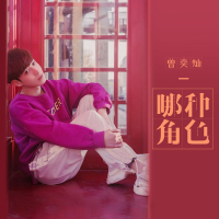 哪种角色 (Single)