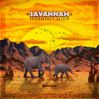 Savannah (Single)