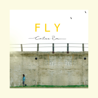 Fly (Single)