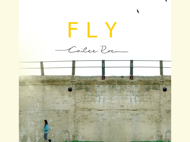 Fly (Single)