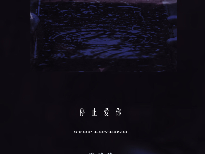 停止爱你 (Single)