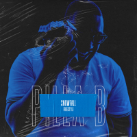 Snowfall (Freestyle) (Single)