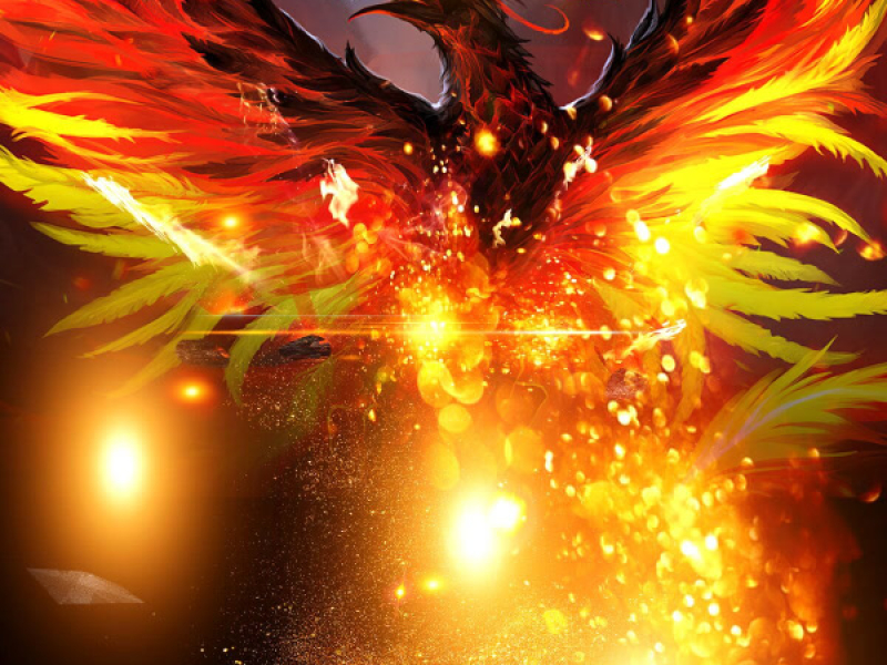 Phoenix Camp (Single)