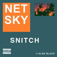 Snitch (Single)