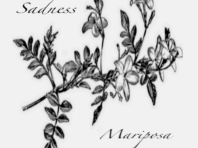 Mariposa (Single)