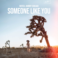 Someone Like You (Single)