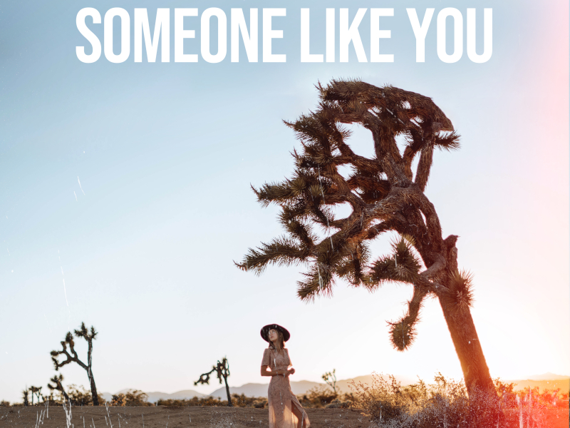 Someone Like You (Single)