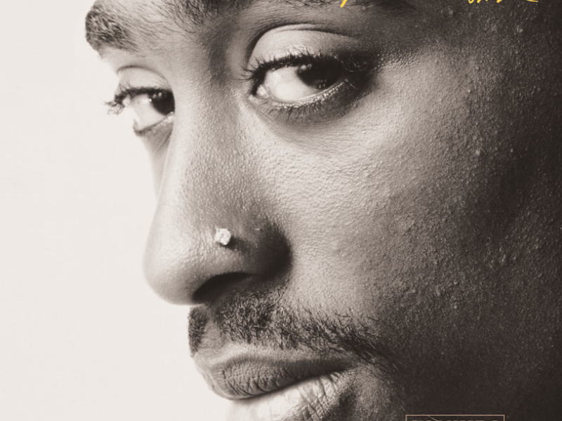 The Rose That Grew From Concrete