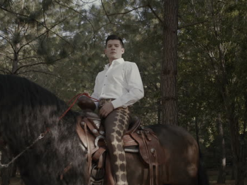 ¿Por Qué Te Vas De Mí? (MV) (Single)