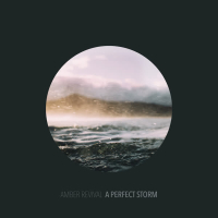 A Perfect Storm (Single)