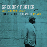 Don't Lose Your Steam (Fred Falke Extended Remix) (Single)