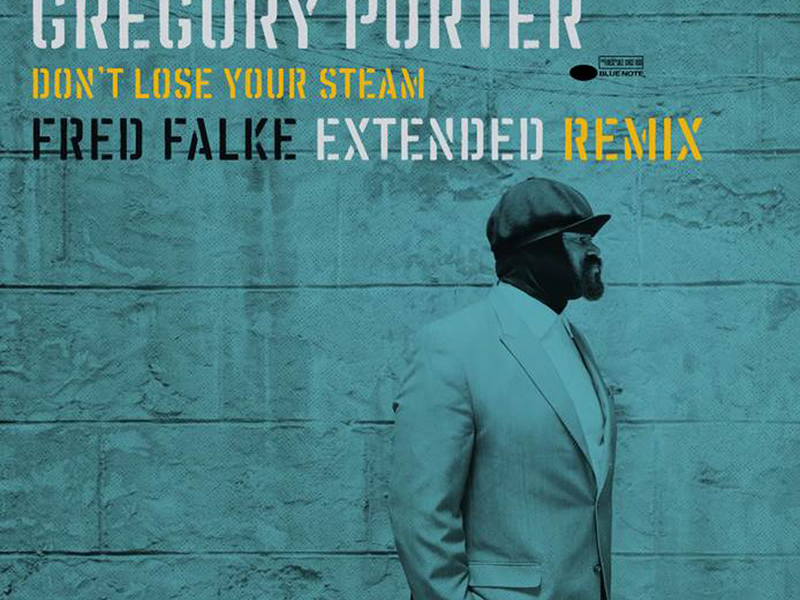 Don't Lose Your Steam (Fred Falke Extended Remix) (Single)