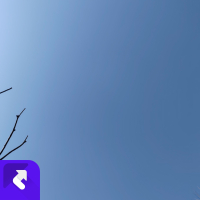 菇凉你就像 (Single)