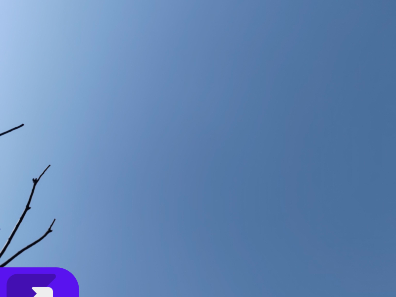 菇凉你就像 (Single)