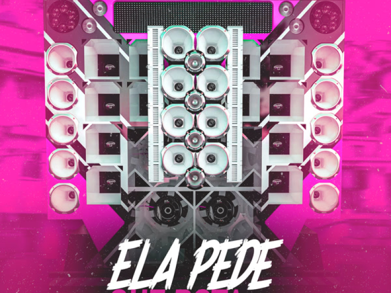 Ela Pede Que Bota (Single)