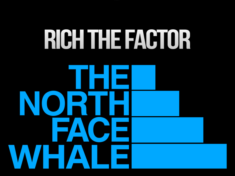 The North Face Whale