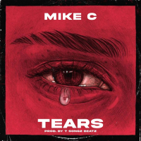 Tears (Single)