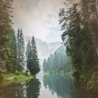 Peaceful Forest River with Relaxing Sounds for Clarity and Relaxation (Single)