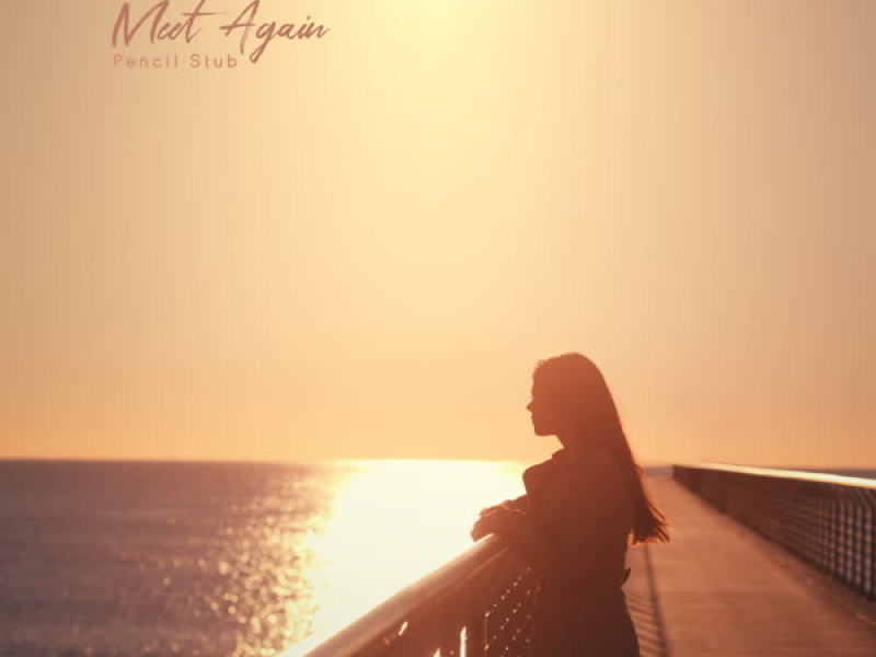 Meet Again