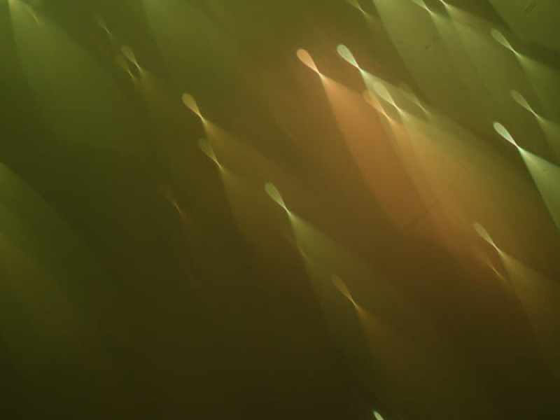 The Fabled Lost (EP)