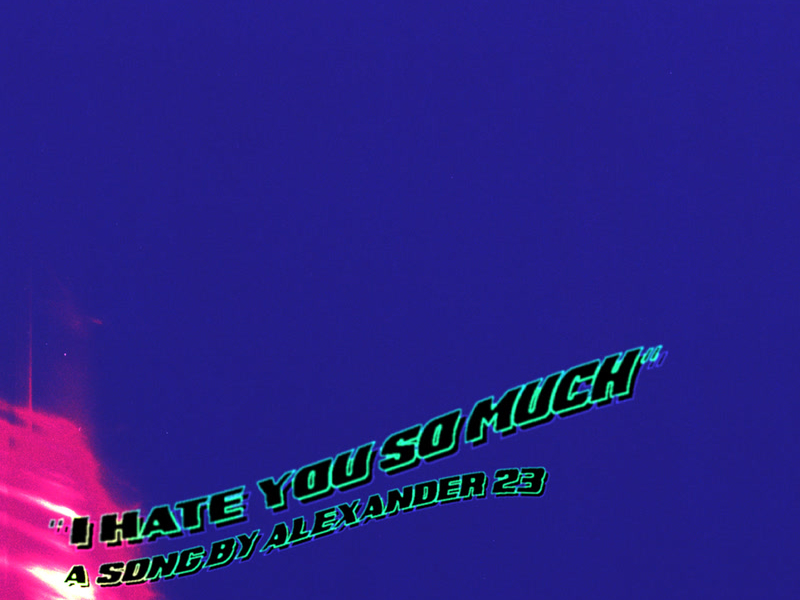 I Hate You So Much (Single)