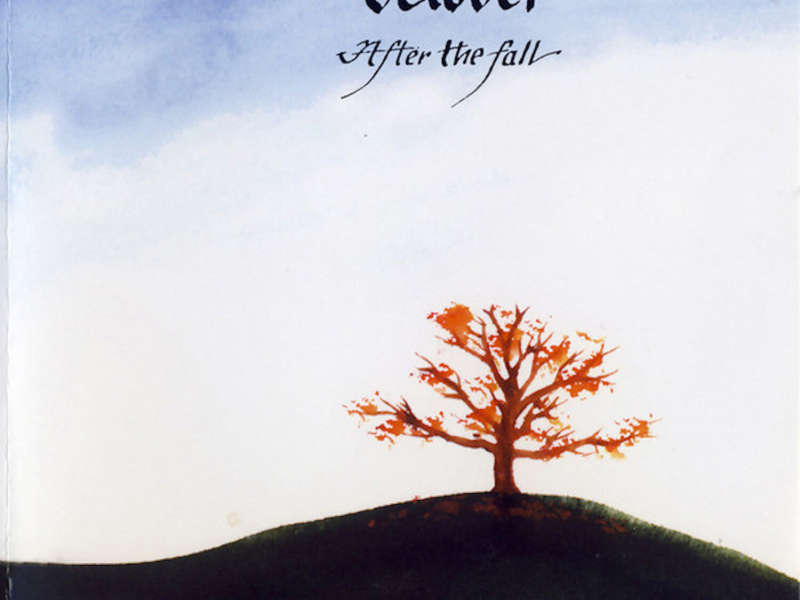 After The Fall