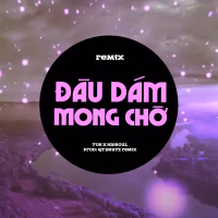 Đâu Dám Mong Chờ (QT Beatz Remix) (Single)