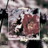 lily (Single)