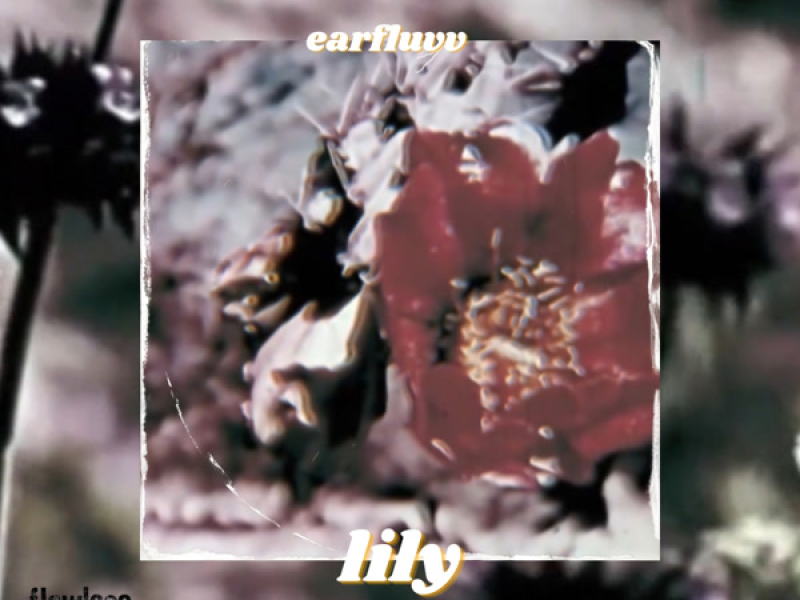 lily (Single)